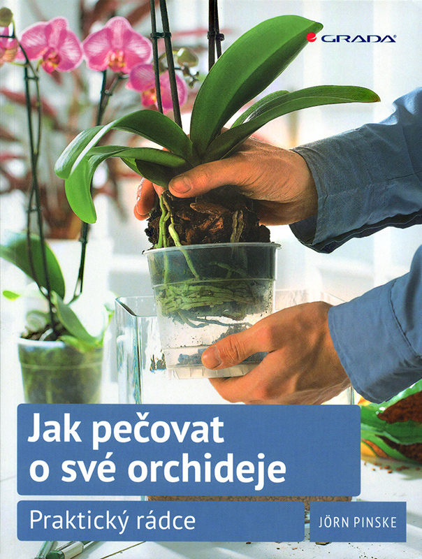 Jak pečovat o své orchideje