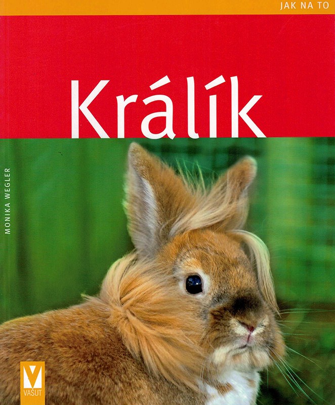 Králík